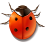 bug-buddy.png